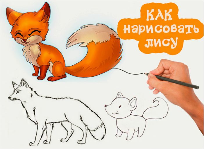 Рисуем красивую лису карандашом, даже если ты совсем не художник